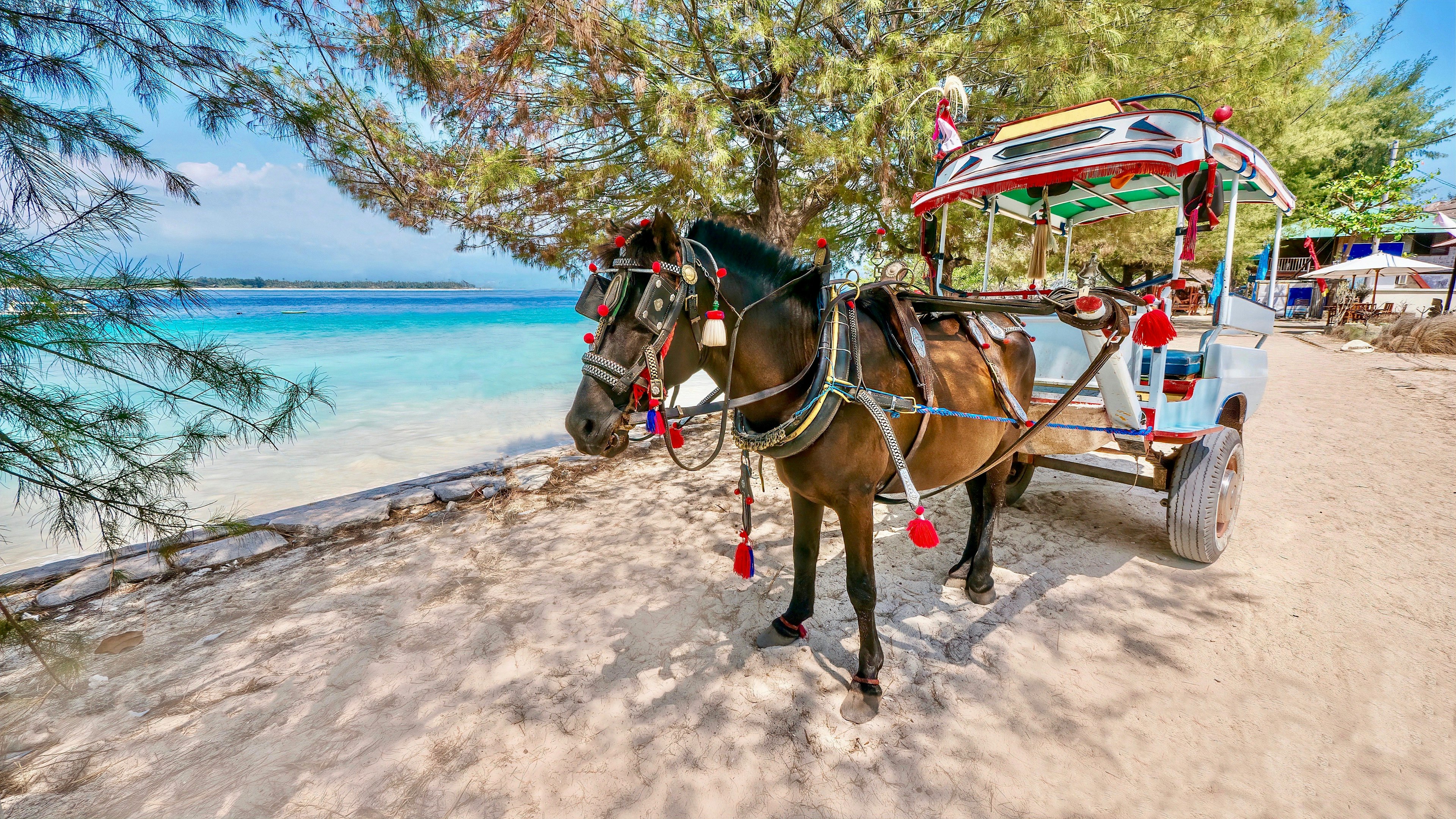 A decorated horse and buggy known as a cidomo on the Gili Islands