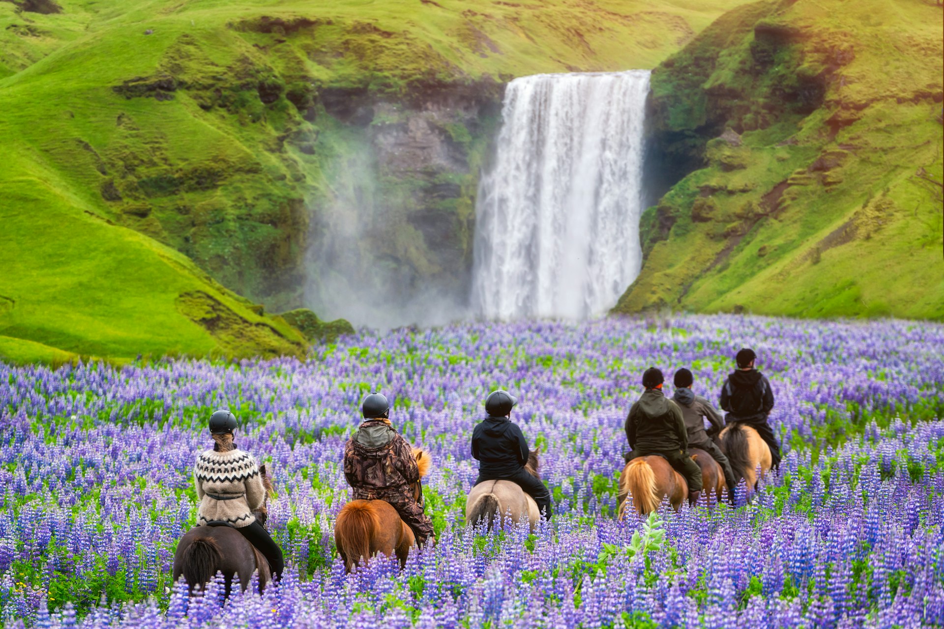 Tourists ride horses towards a waterfall through a field with tall purple flowers