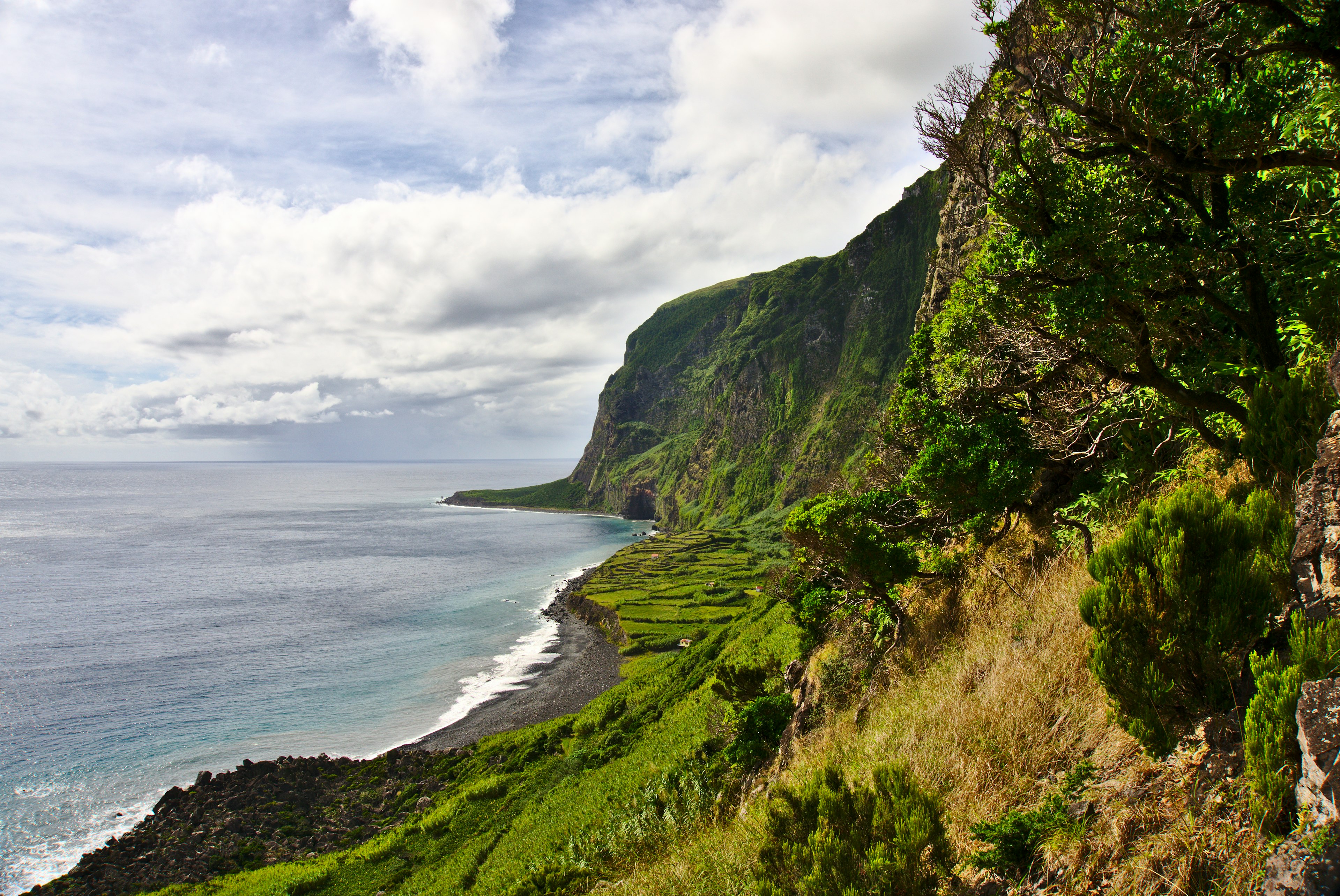 Aerial view of the steep, greenery-covered hillside of Faja de Lopo Vaz