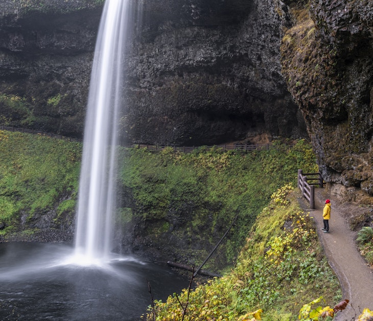 Female tourist with red hat and yellow jacket staring at South Falls in autumn, Silver Falls State Park, OR, US.
1189512563