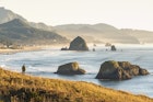 High angle view of a man looking at Cannon Beach and Haystack Rock from Ecola State Park, Cannon Beach, Clatsop county, Oregon, USA.
1194354722