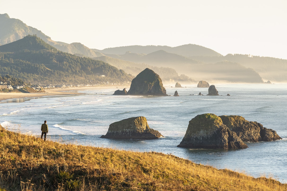 High angle view of a man looking at Cannon Beach and Haystack Rock from Ecola State Park, Cannon Beach, Clatsop county, Oregon, USA.
1194354722