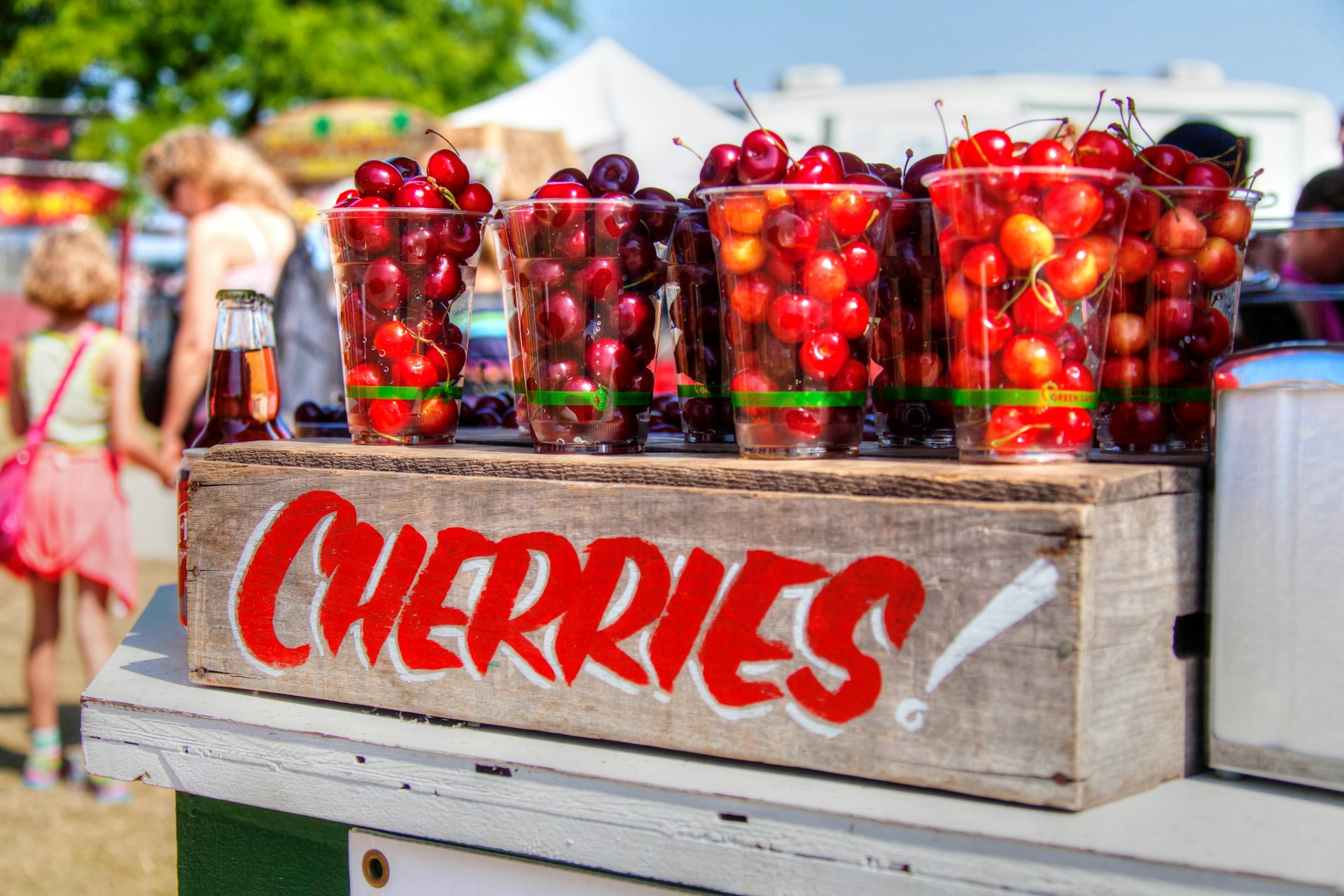 Cups of fresh cherries for sale in Traverse City, Michigan, USA