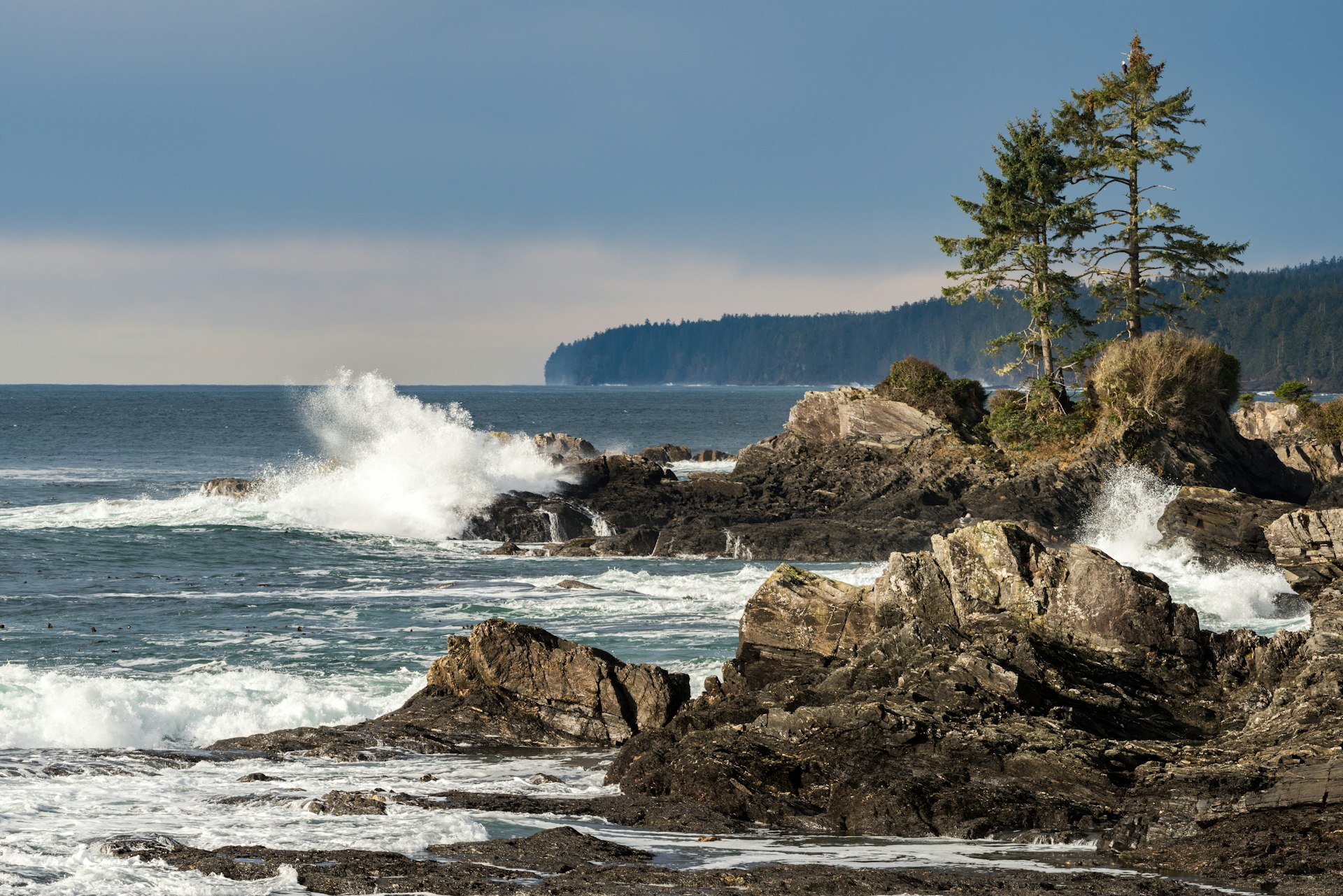 Waves crash on rocks at Botanical Beach, Juan de Fuca Trail, Port Renfrew, Vancouver Island, British Columbia, Canada