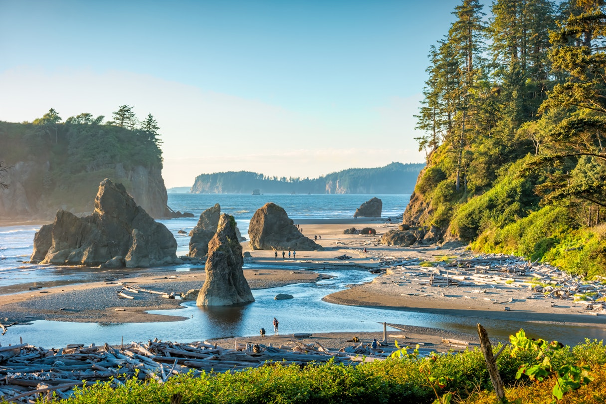 visit olympic national park