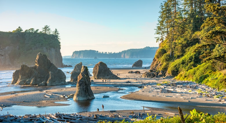 Sea stack at Ruby Beach in Olympic National Park, Washington state, USA.
1440851155