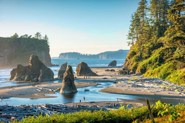 A first-timer's guide to Olympic National Park, Washington