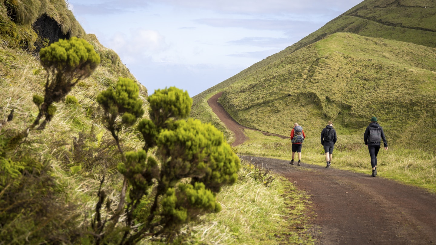 Rear view of a group of hikers in the central highlands of SÃ£o Jorge island in the Azores.
Rear view of a group of hikers in the central highlands of São Jorge island in the Azores.
1457415636