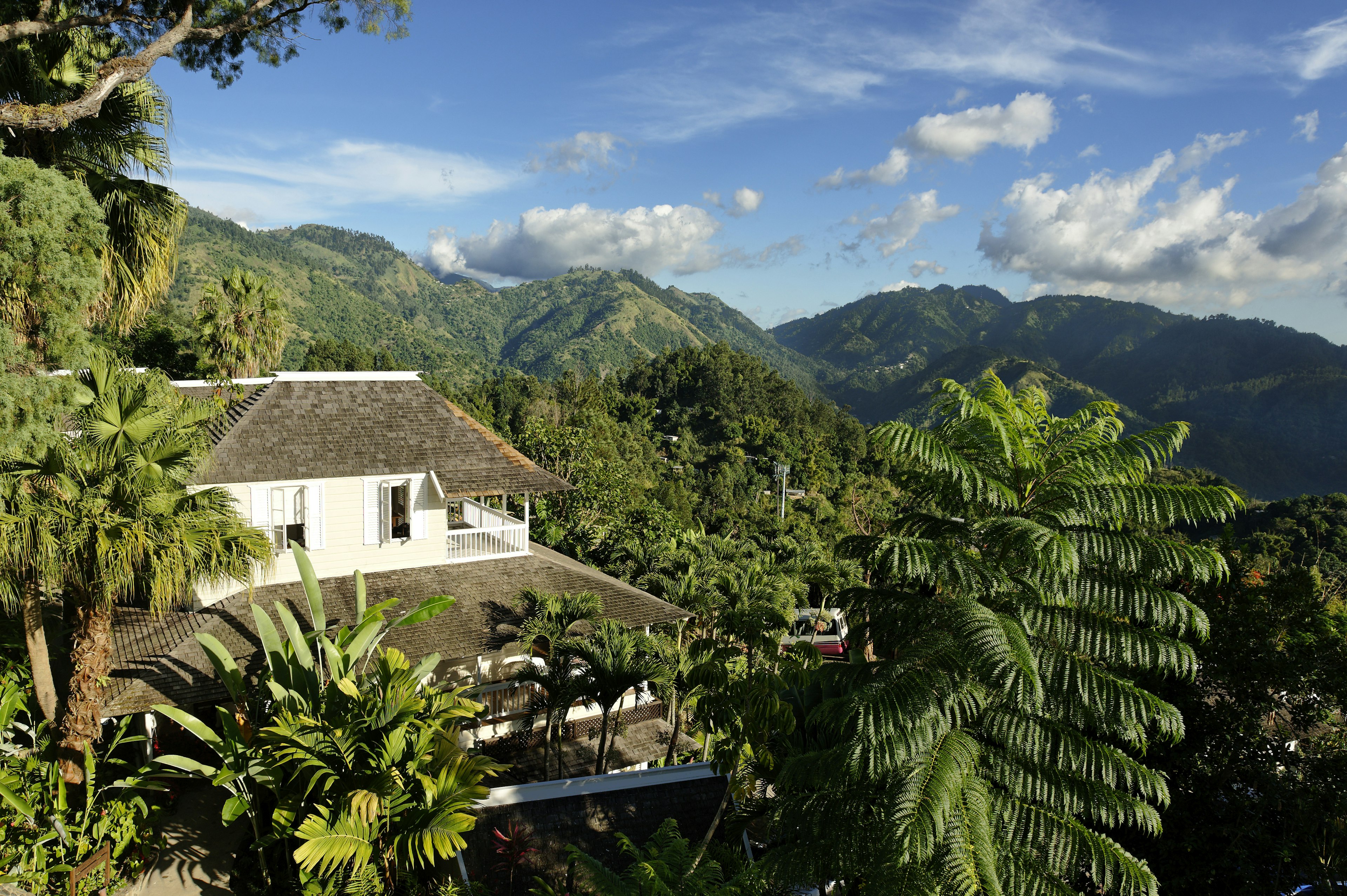 A house surrounded by greenery in a jungle-clad mountainous region