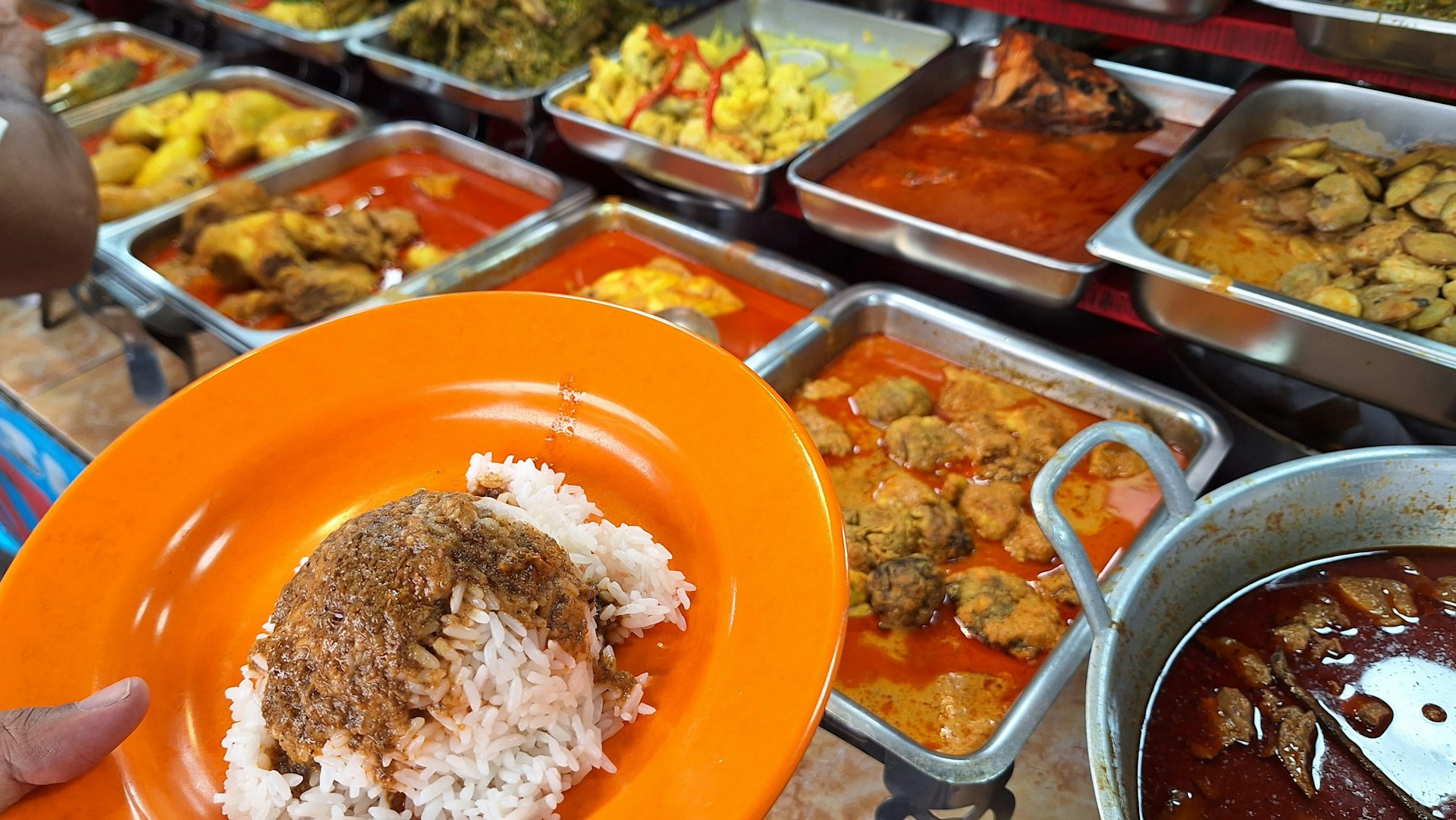 A plate loaded with rice and beef curry held in front of a range of curry dishes