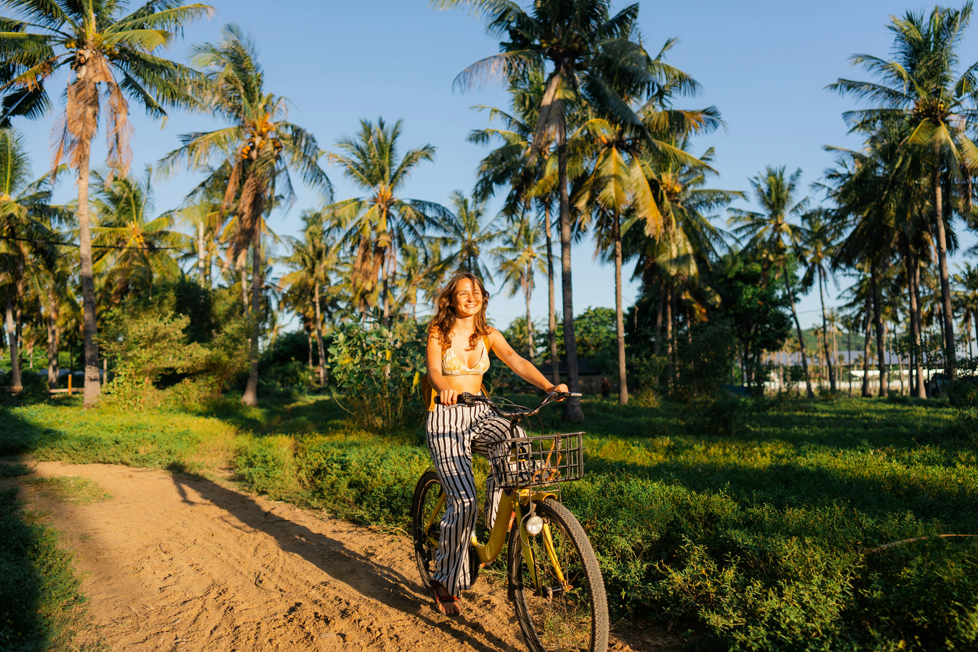 A cyclist pedals her way through the greenery of a coconut grove