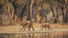 safari tanzanie serengeti