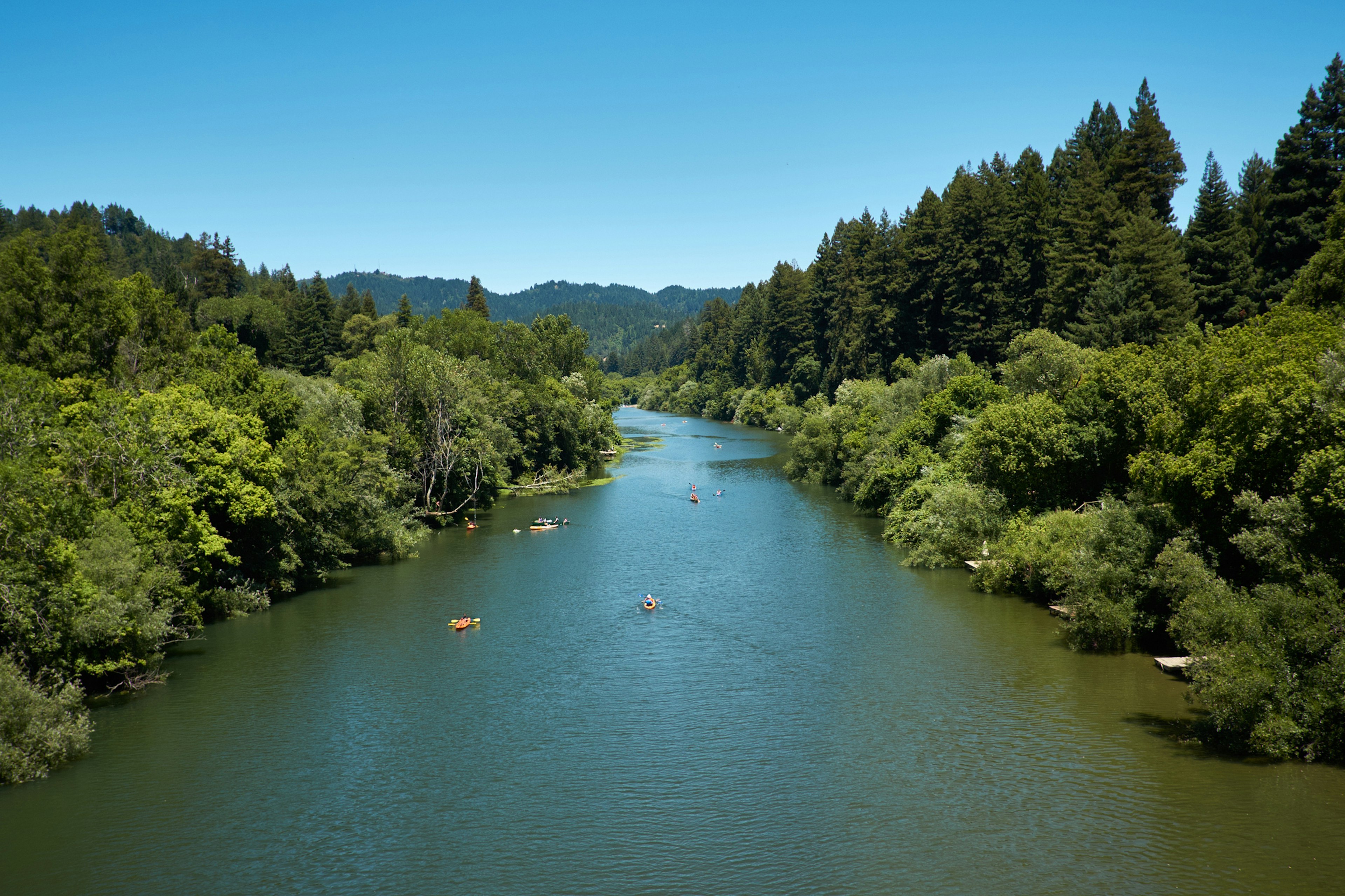 People paddle along a wide river surrounded by woodland in small canoes