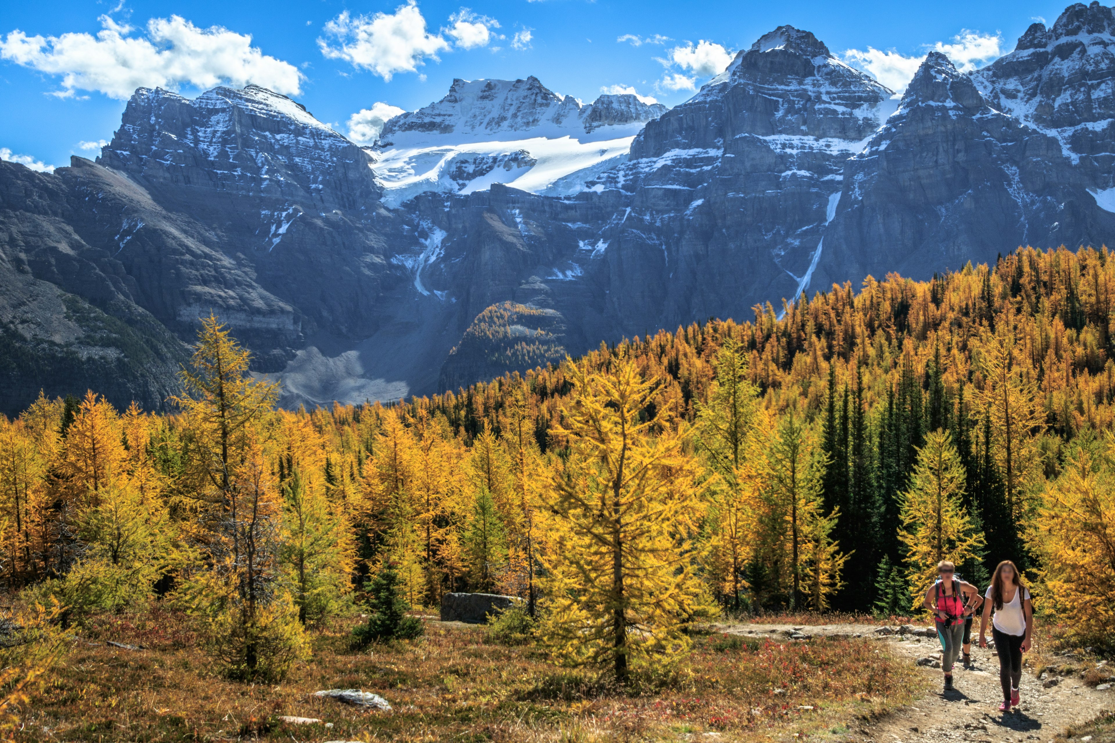 Female tourists hiking in Larch Valley near Moraine Lake, in Banff National Park, Alberta, Canada