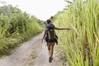 85634757
20-25 years, african descent, jamaican, young adult woman, adventure, outdoor, day, caribbean, ecotourism, jamaica, tourism, travel, tropical, one person only, nature, leisure, lifestyle, backpack, backpacker, backpacking, brunette, dirt road, eco-friendly, ecotourist, full-length, future, grass, journey, path, reaching, touching, trail, vacation, walking, carefree, freedom, independence, independent, african american
