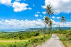 View from Cherry Tree Hill to tropical coast of  caribbean island Barbados
868721570
beautiful, view, green, tropical, relax, exotic, palm, rocks, souvenirs, reserve, color, handicrafts, attractive, colorful, outdoor, building, traditional, wood, artistic, coast, way