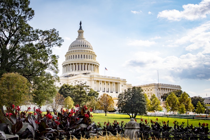 The US Capitol Building in the background with flowering gardens in the foreground. This angular view presents a beautiful alternative to the more standard straight on views often seen while still keeping it very clear that this is the SU Capitol Building.
982301414