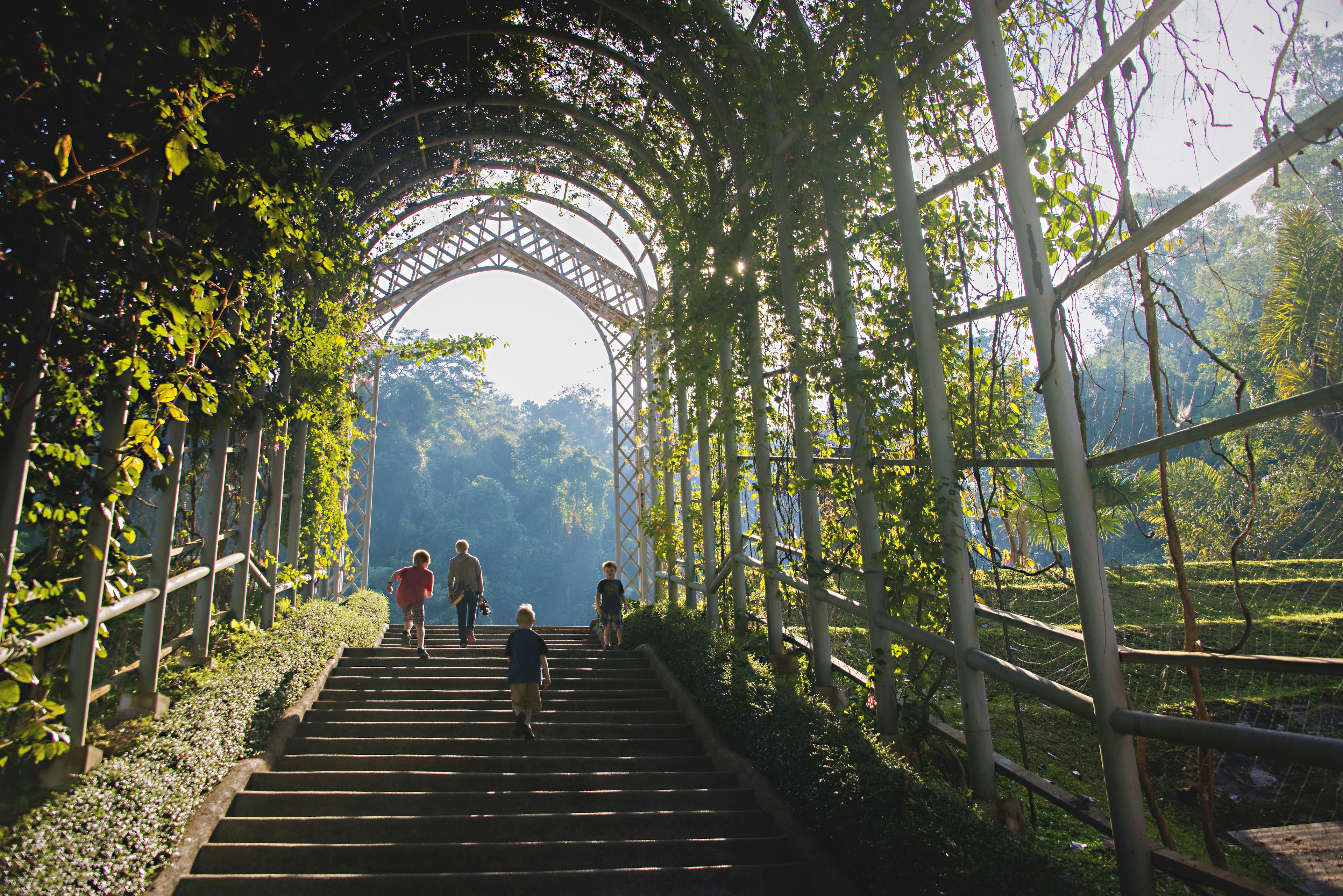 Four young children climb a staircase towards a jungle-like setting