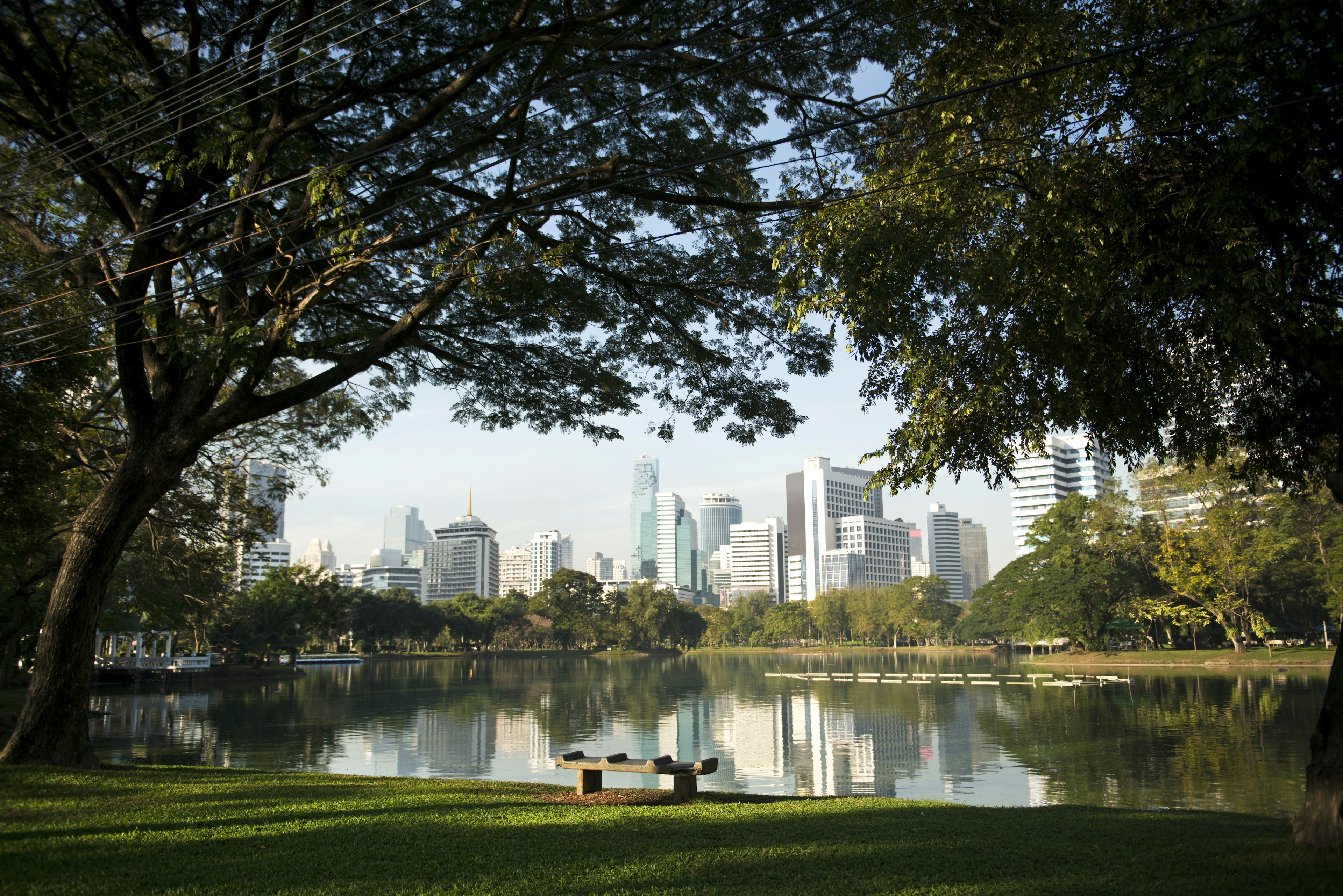 Bench in parkland with high-rise buildings in the background