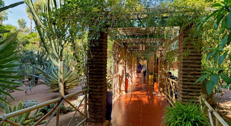The Jardin Majorelle gardens in Marrakech is one of the most visited sites in Morocco. It took French painter and artist Jacques Majorelle forty years of passion and dedication to create this enchanting garden in the heart of the Ochre City.
871254980
Elegance, Flower Pot, Gardening Equipment, Architecture, Environment