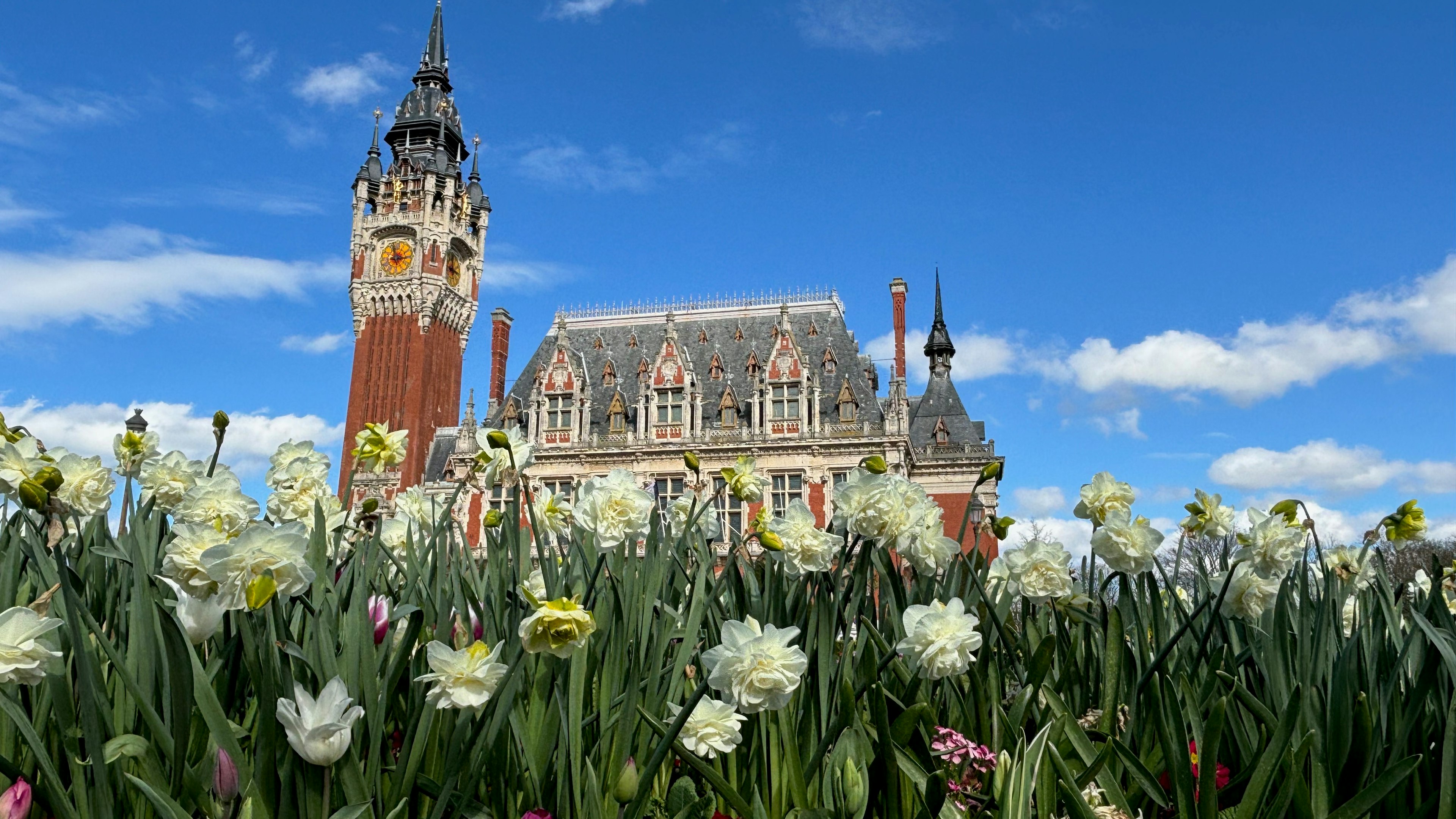 A red-brick building with a tall ornate belfry tower