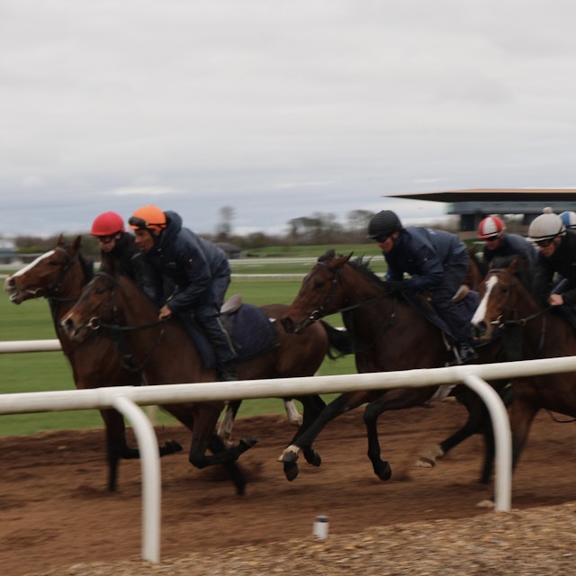 Horses on a race track being ridden by jockey in gloomy wet weather