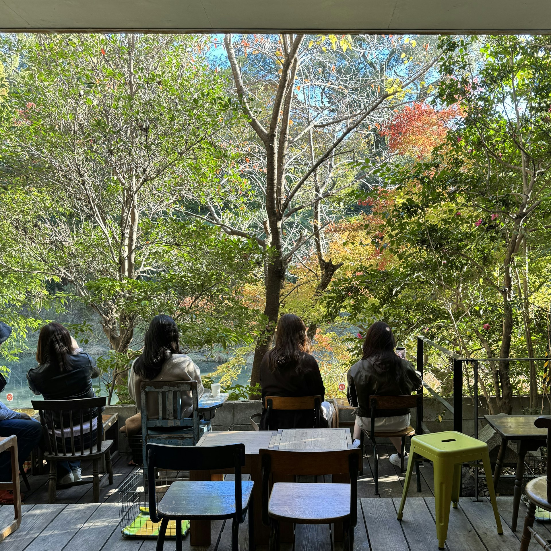 People sit at tables on the back porch overlooking woods at Vermillion Cafe, Kyoto, Japan