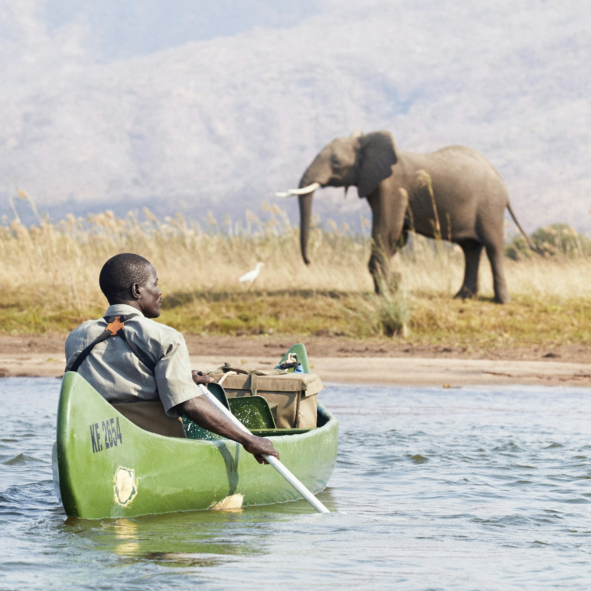A safari guide in a canoe on the Zambezi River in Mana Pools National Park looks to the bank where a large elephant is standing, Zimbabwe