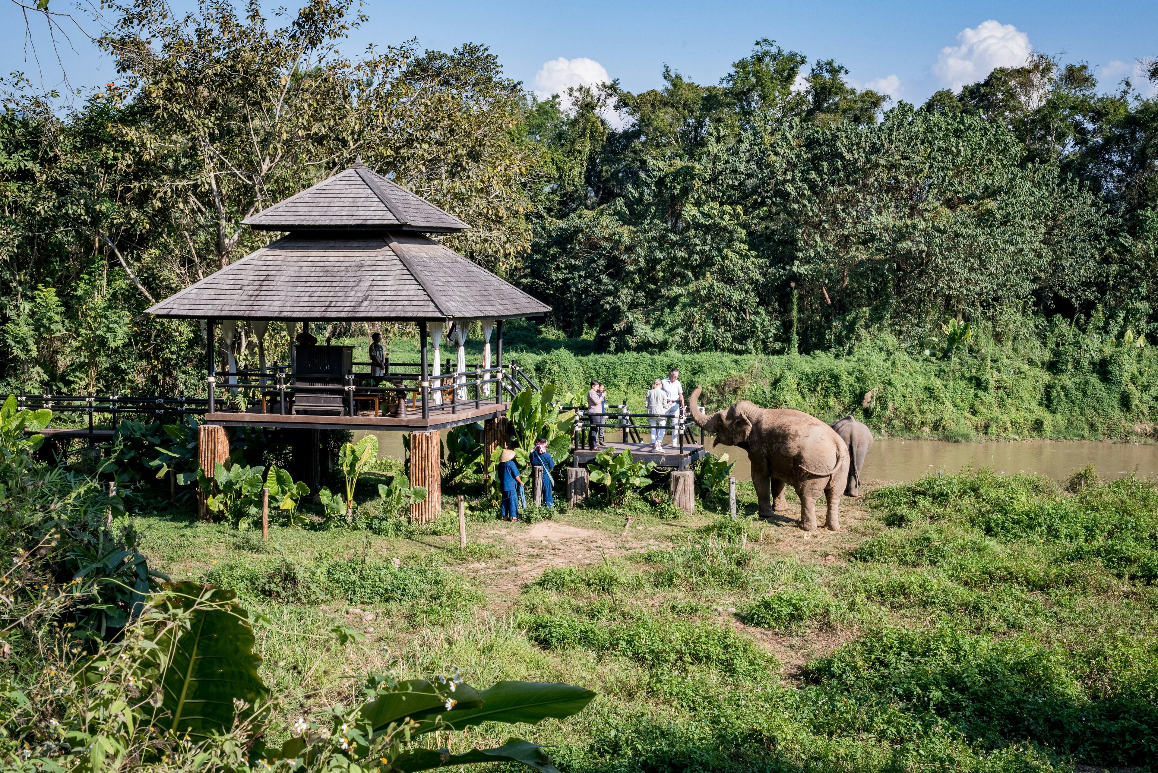 People stand on a riverside wooden decking area observing two elephants that are free to roam