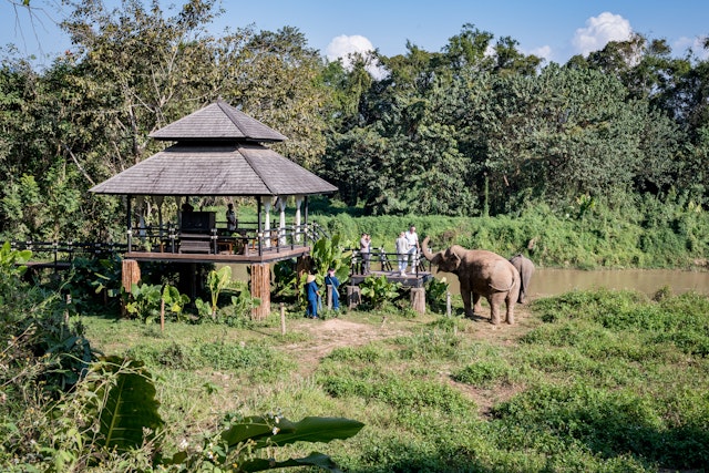 People stand on a riverside wooden decking area observing two elephants that are free to roam