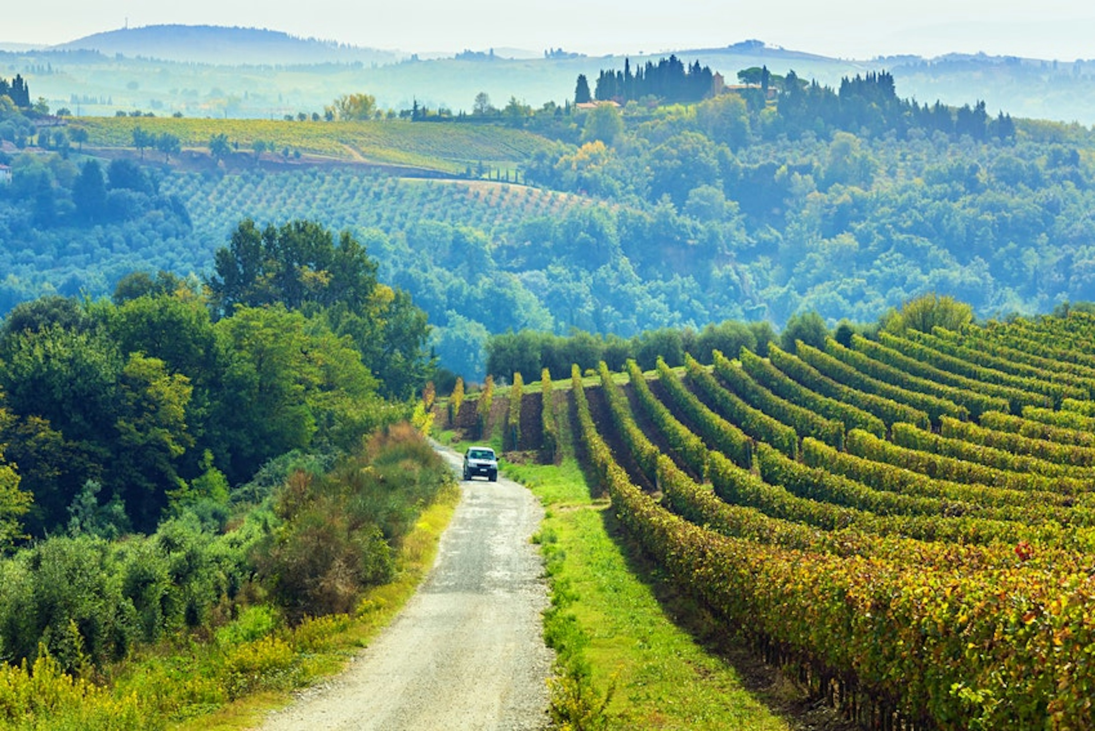 A car drives down a country lane