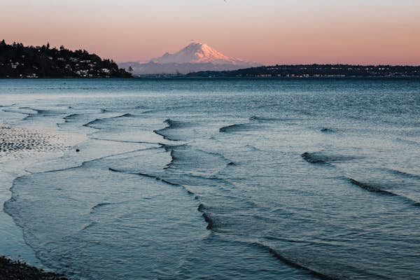 The best free things to do in Seattle