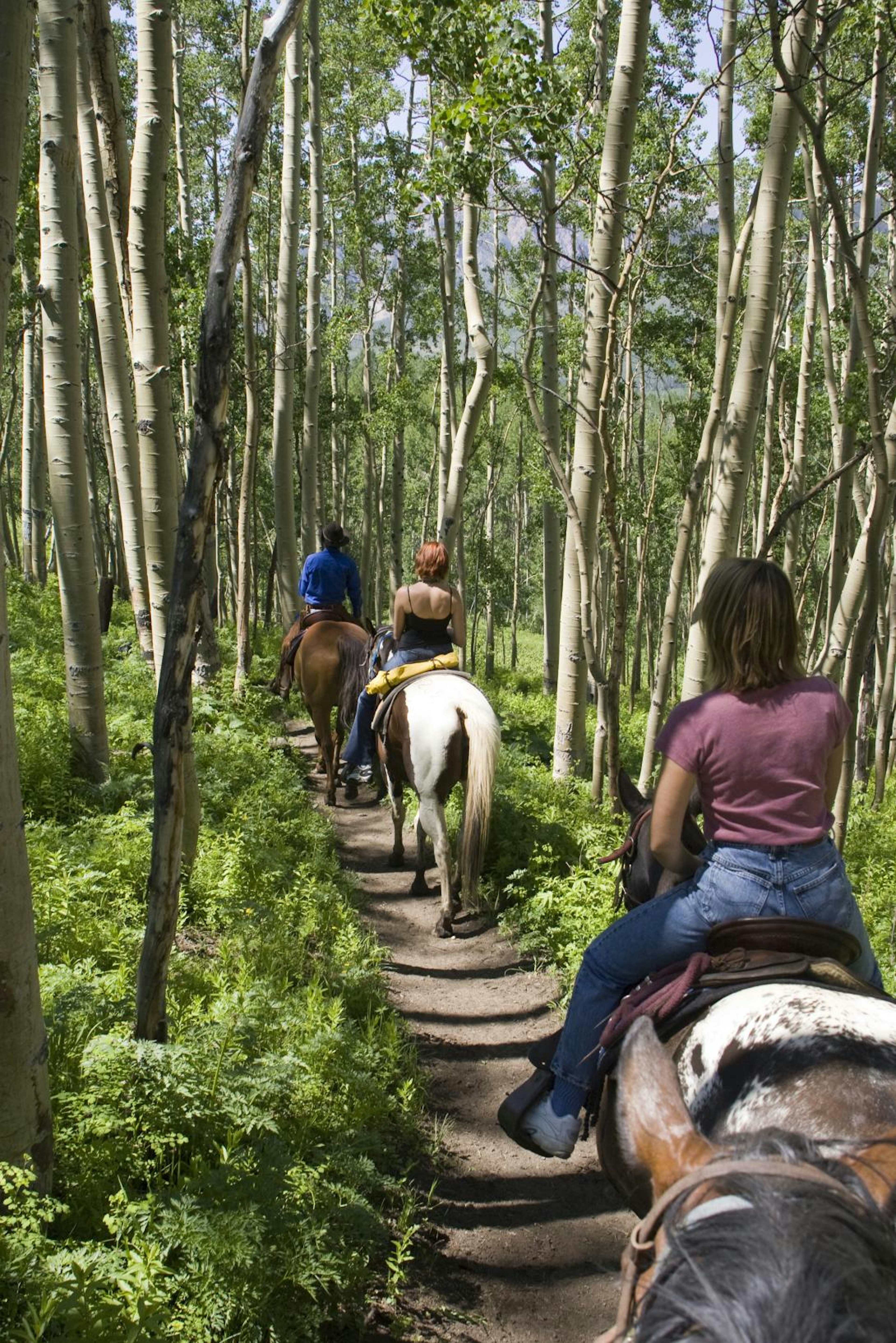 colorado-dmo-crested-butte-denise-chambers-Miles.jpg