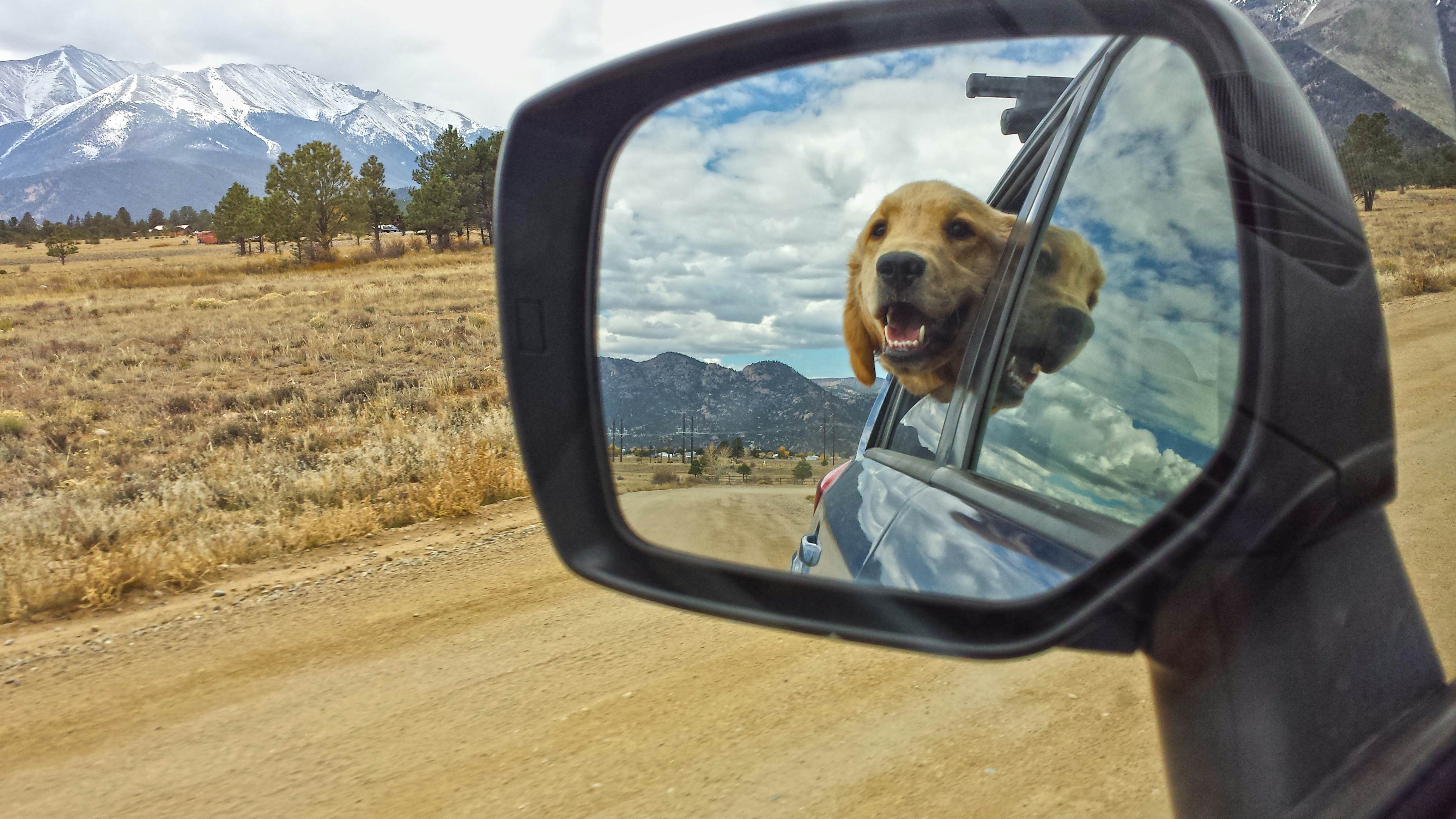 A golden retriever sticks his out out of a car window, as pictured in the rear-view mirror. Snow-covered mountains loom in the distance.