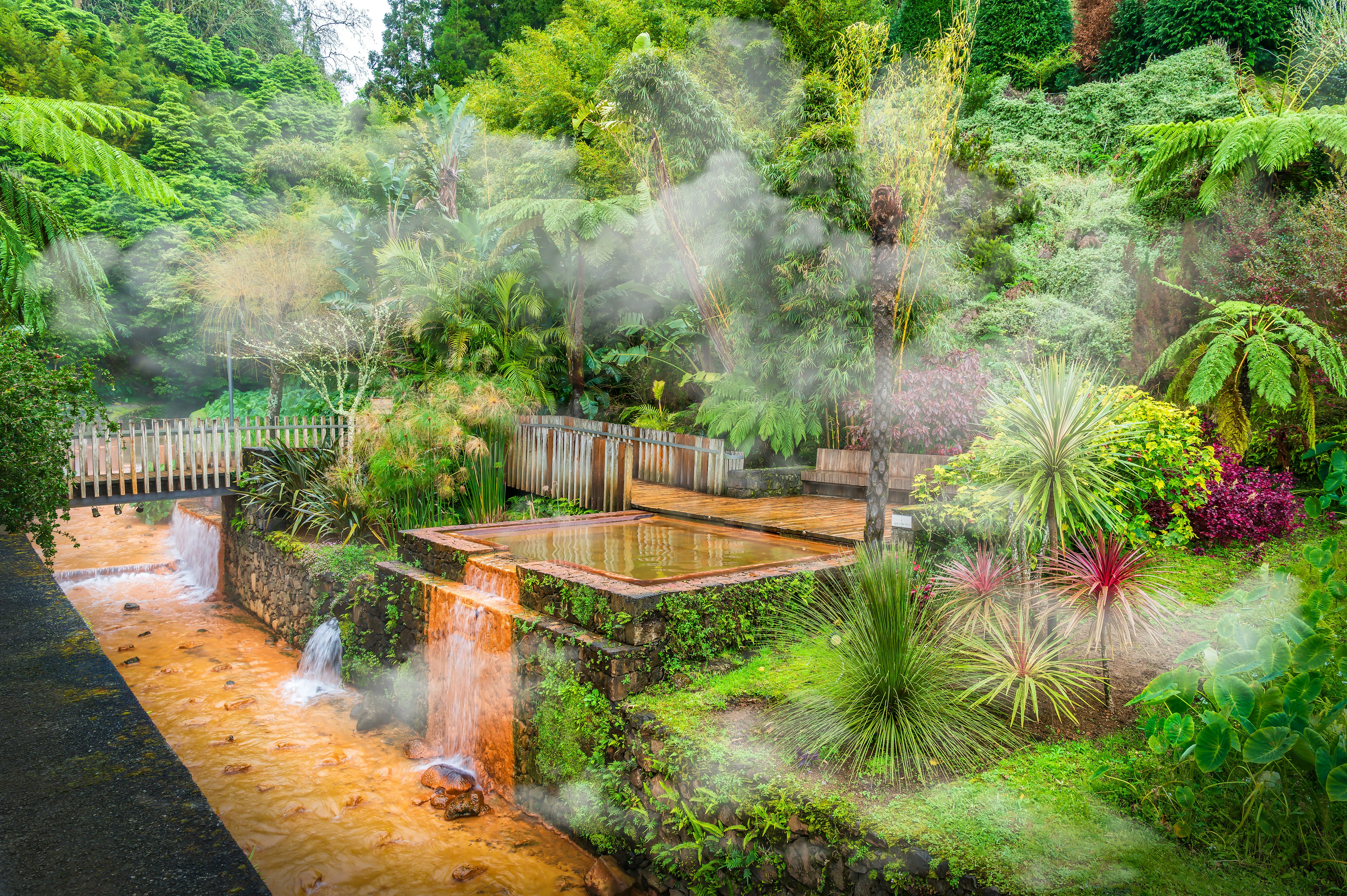 Hot spring baths set in a lush landscape with tropical plants and steam rising from the volcanically heated water.