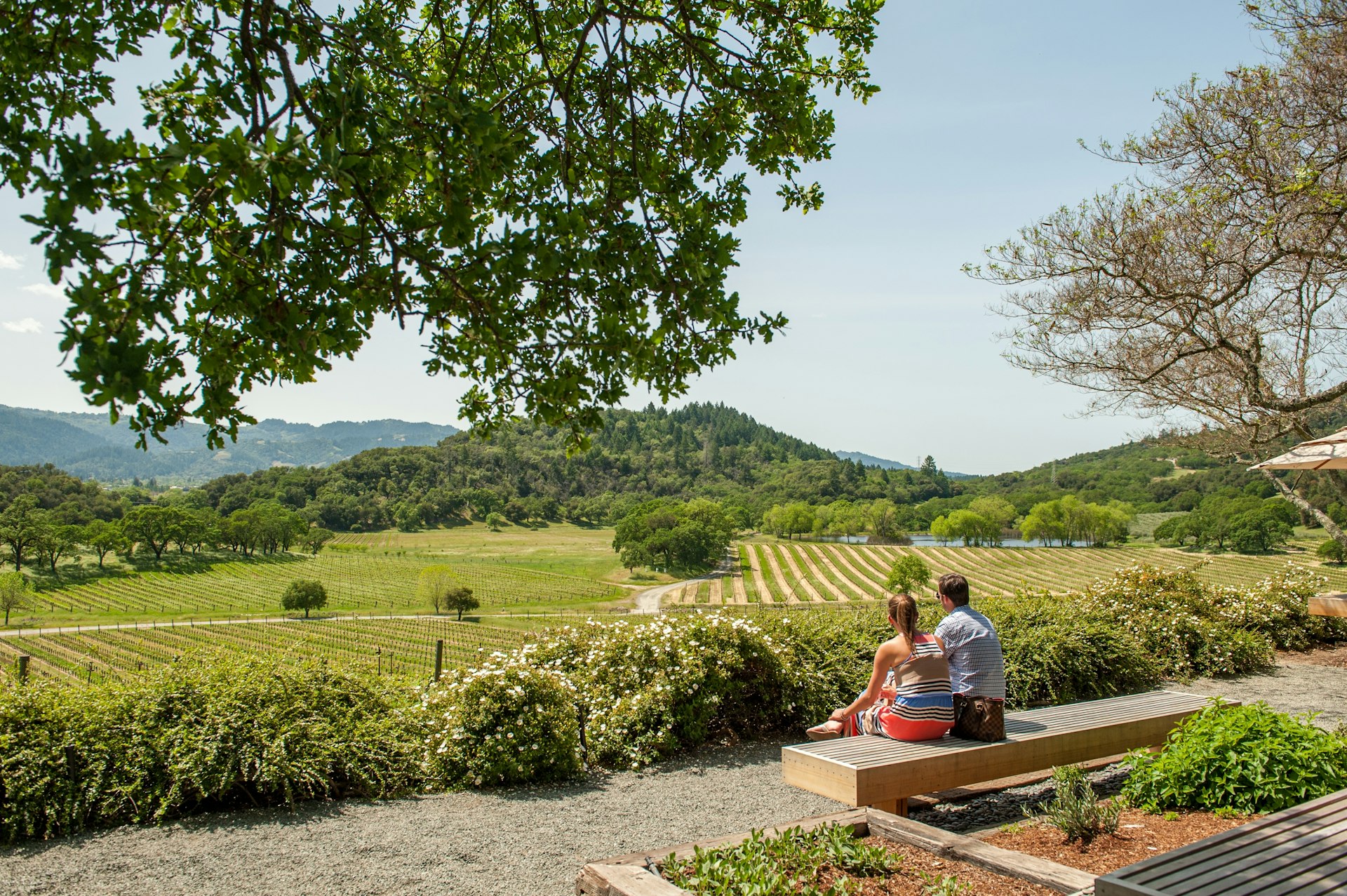 Two people sit on a bench at a winery looking out over vineyards with vines stretching down the hill in the sunshine