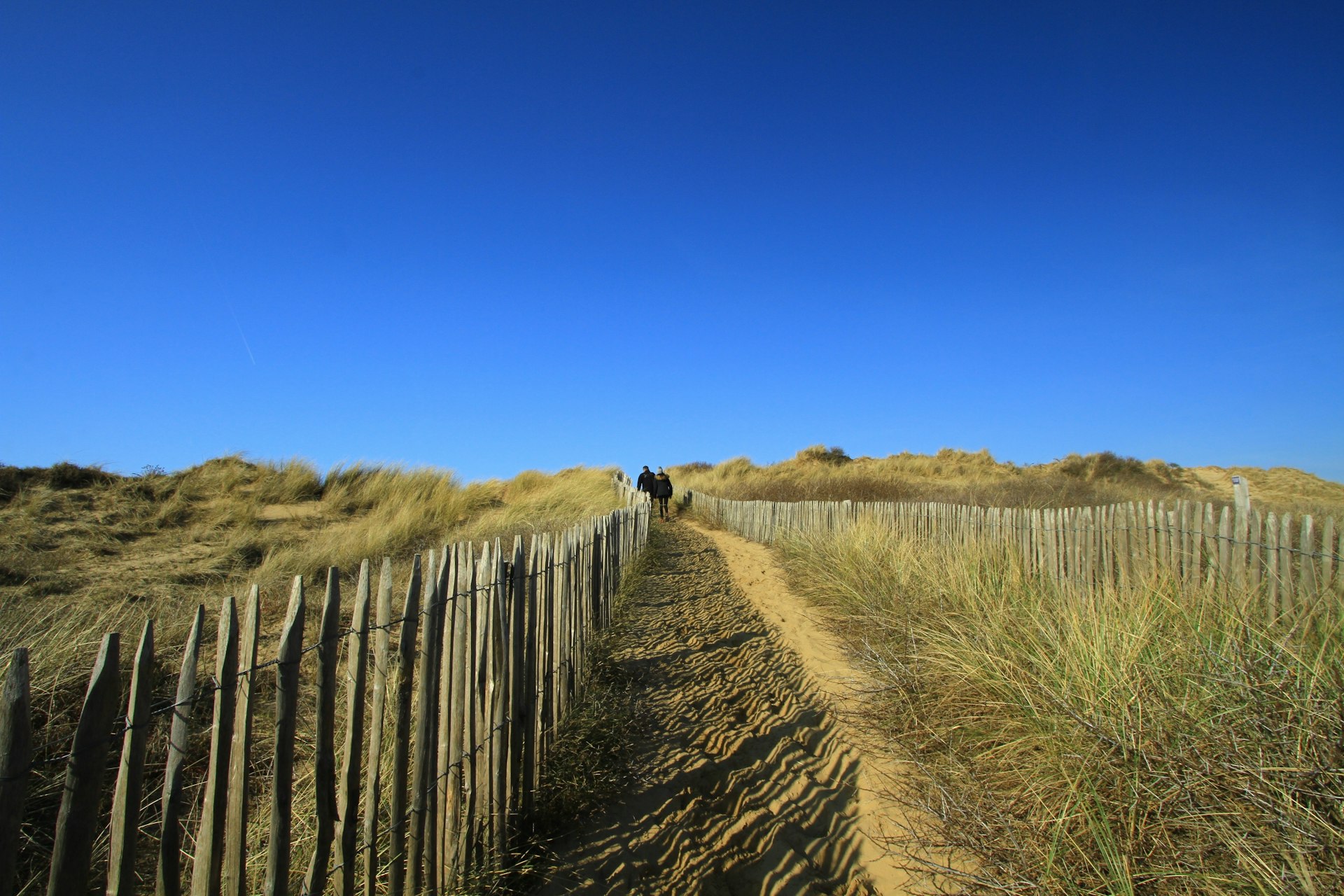A trail through the dunes of Ambleteuse, Côte d’Opale, Pas-de-Calais, Hauts-de-France, France