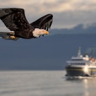 best couples cruise to alaska