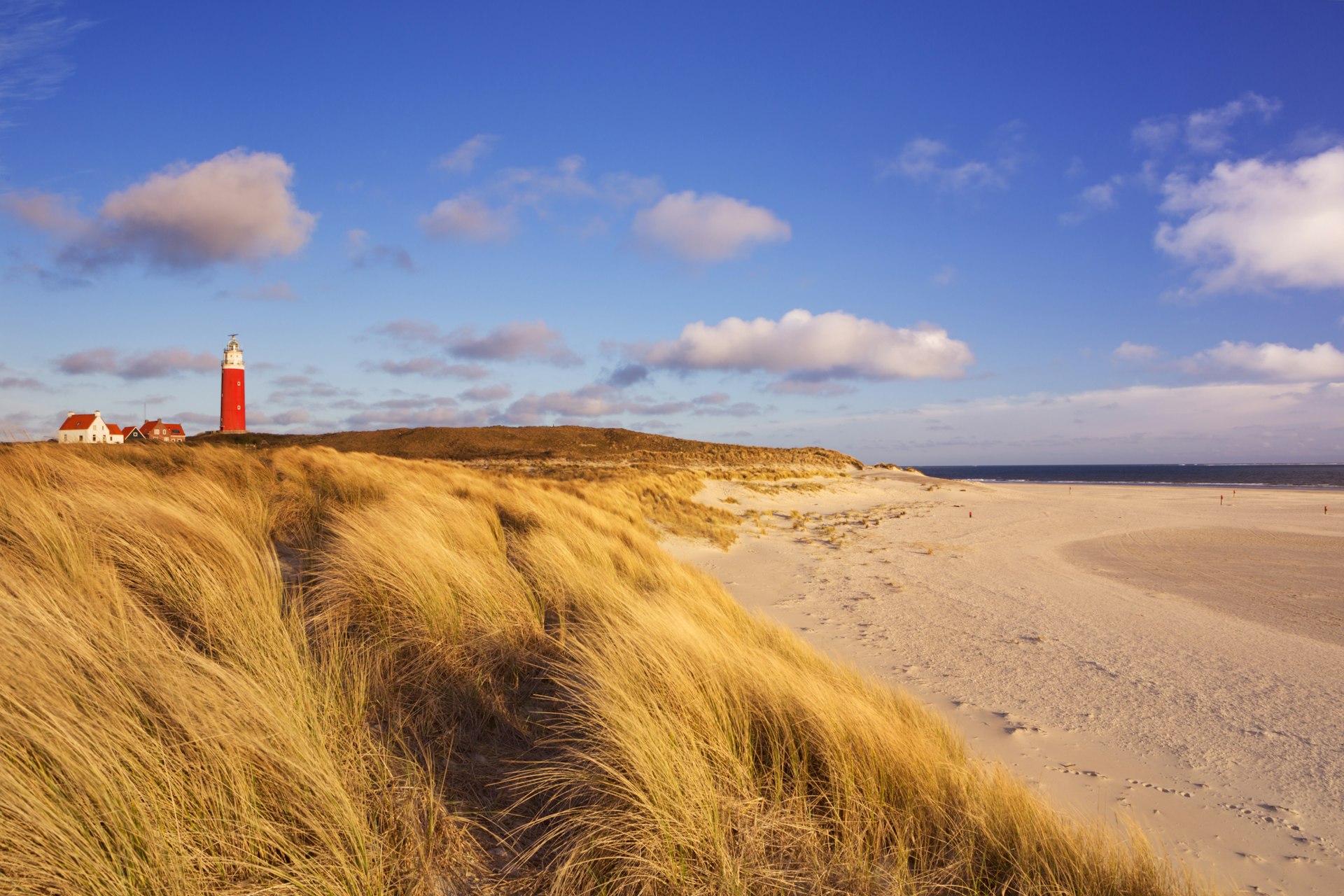 Texel Lighthouse near a sandy beach during the early morning.