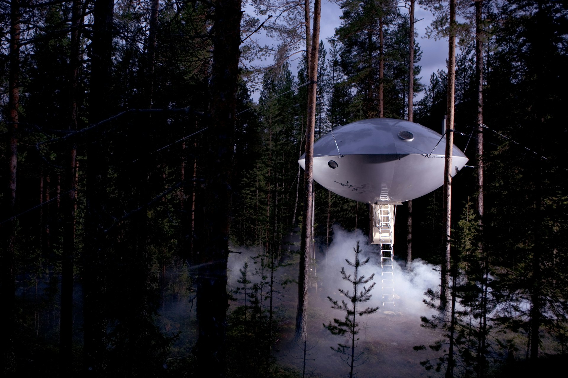 A silver dish-like unit is suspended from some trees in woodland. A ladder stretches down to the ground