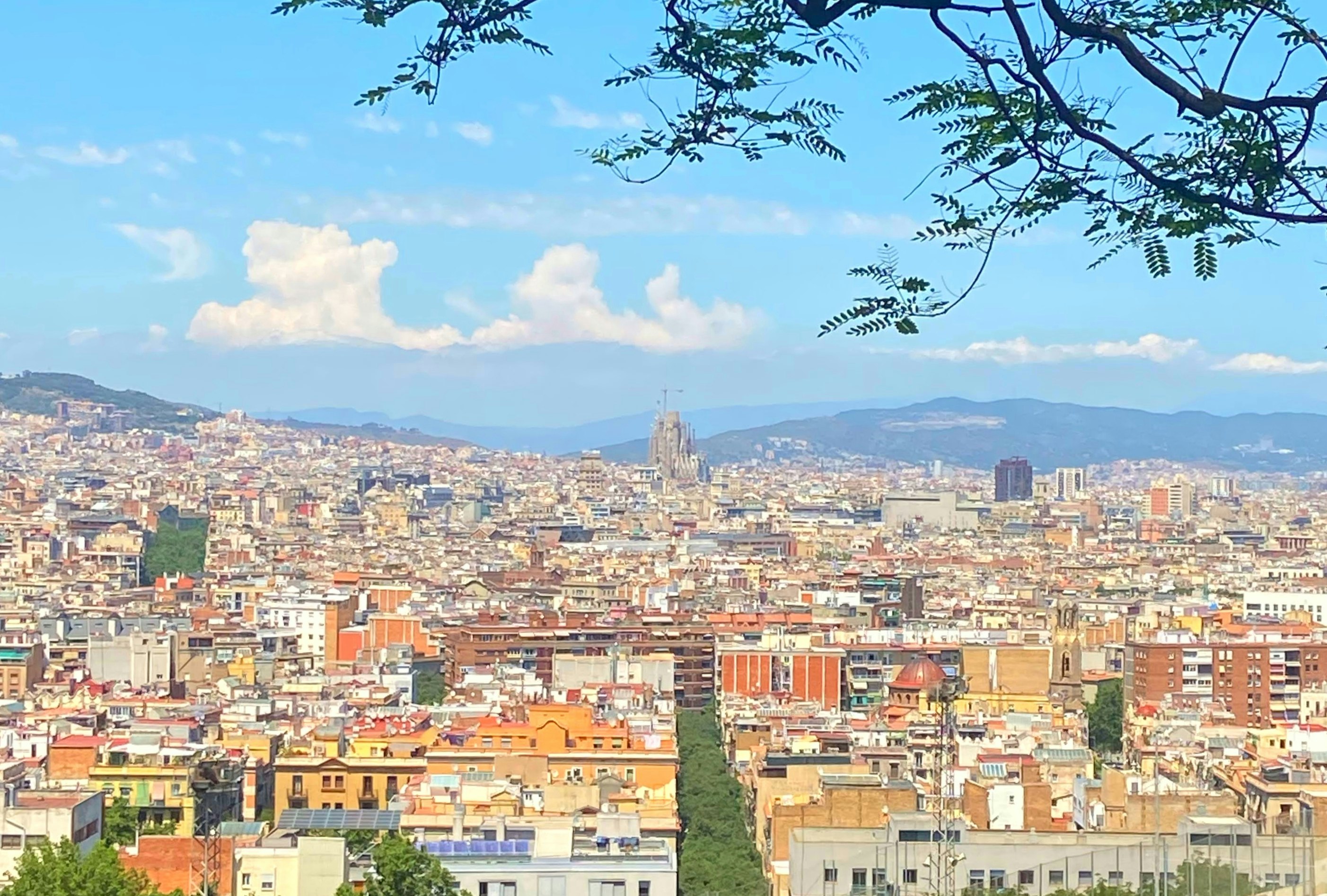 Aerial view of Barcelona from Montjuic