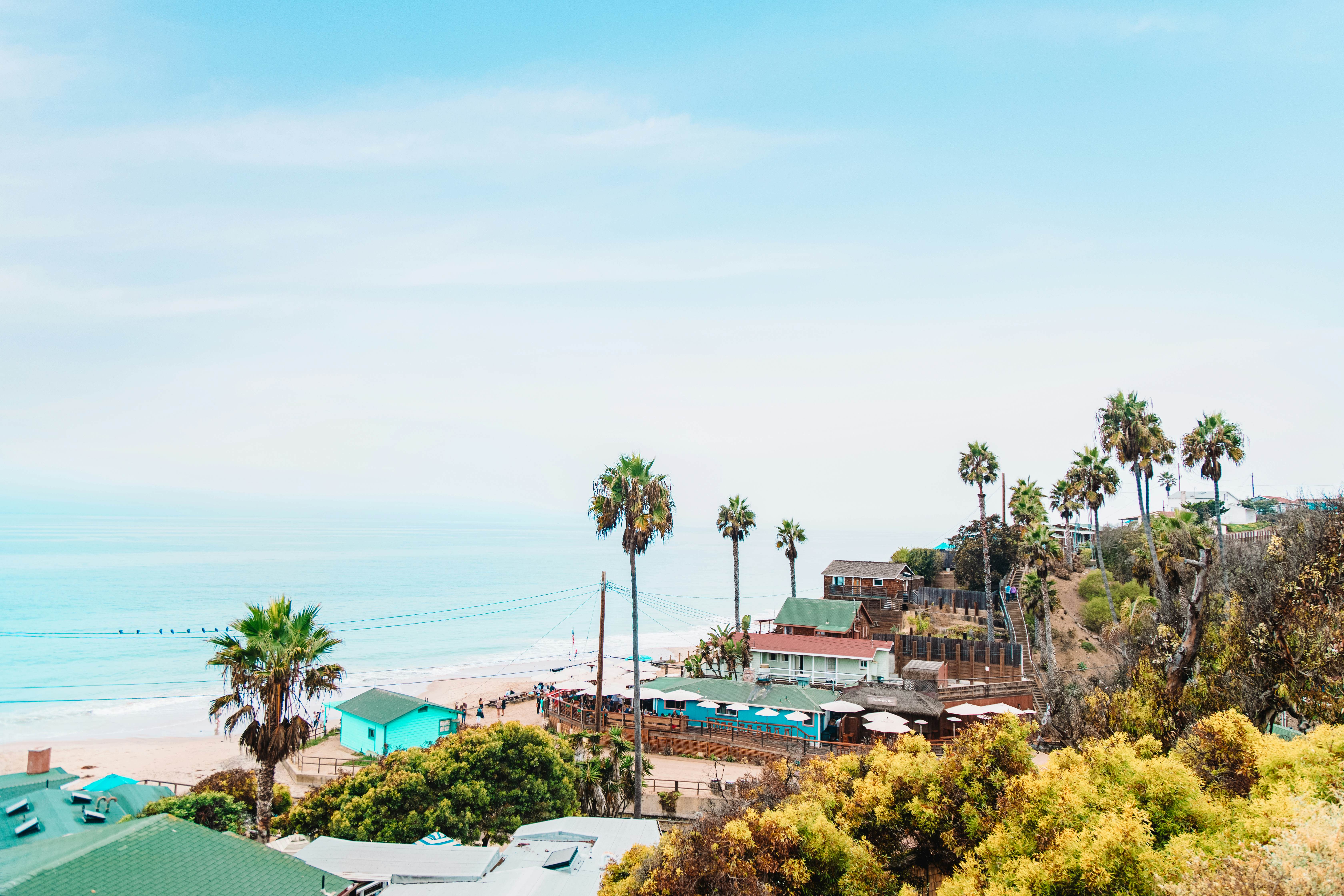 Arecaceae,  Palm Tree,  Plant,  Summer,  Tree
Landscape view of Crystal Cove State Park, including its restored beach cottages