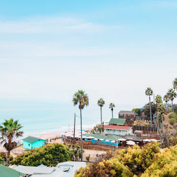 Arecaceae, Palm Tree, Plant, Summer, Tree
Landscape view of Crystal Cove State Park, including its restored beach cottages