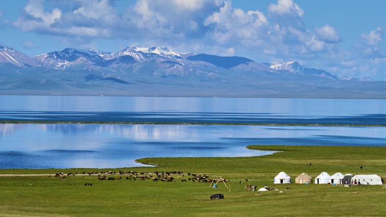1055572768
Kirghizistan, province de Naryn, le lac de Song Kol, campements de yourte des nomades Kirghiz// Kyrgyzstan, Naryn province, Song Kol lake, Kirghiz nomad's yurt camp
Kyrgyzstan, Song Kul, nomad's camp - stock photo
Kyrgyzstan, Naryn province, Song Kol lake, Kirghiz nomad's yurt camp