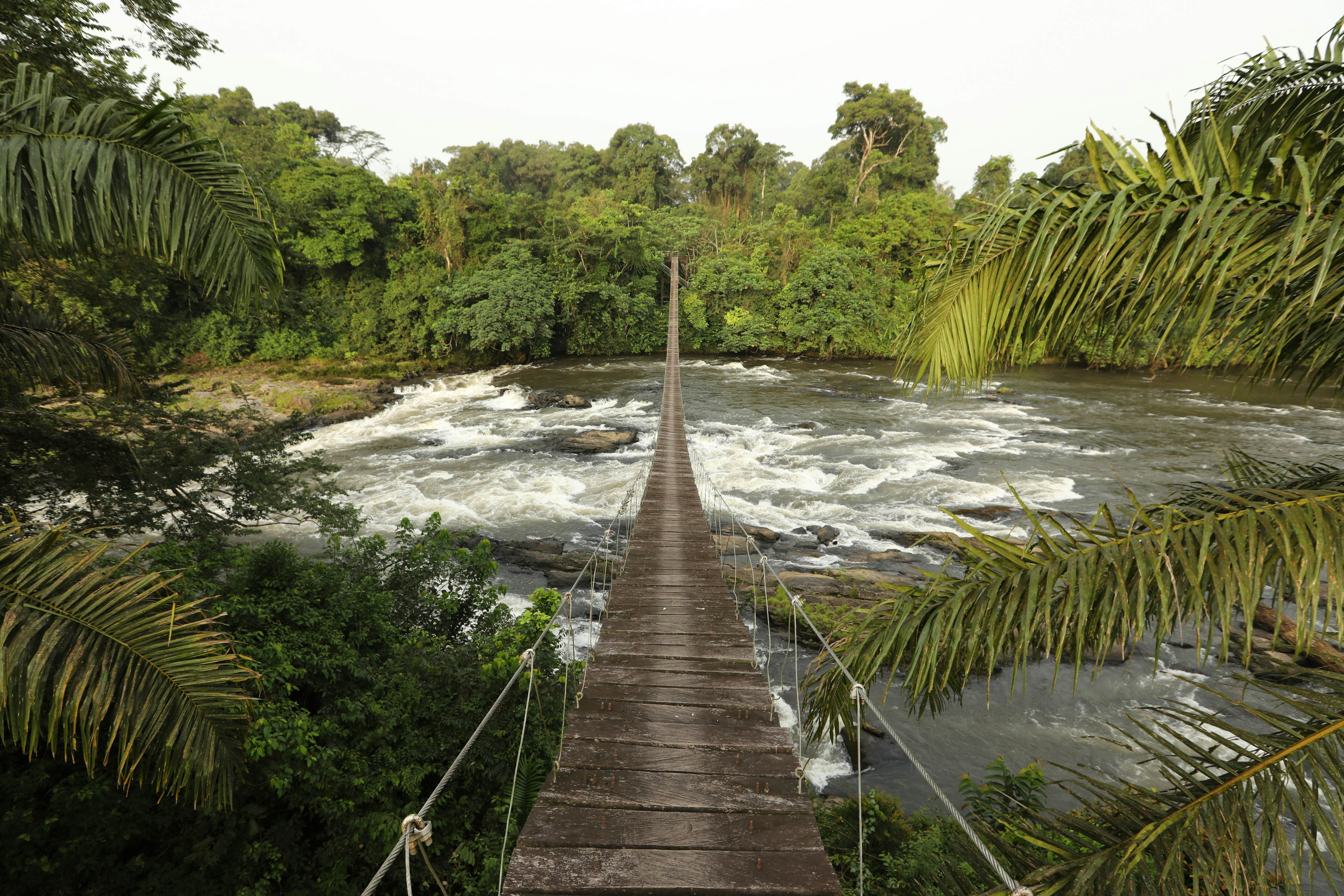 Discover the Wonders of Cameroon: Your Ultimate Guide to Tourist Attractions