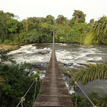 1128792339
africa, landscape - scenery, tranquil scene, flowing water, rainforest, lush foliage, footbridge, rock - object, national park, cameroon, no people, tree, water, travel, nature, forest, river, scenics - nature, stream - flowing water, environment, flowing, leaf, beauty, idyllic, backgrounds, woodland, national landmark, plant, natural parkland, travel destinations, public park, stone - object, rapids - river, No People
Mana River Foot Bridge, entrance to the Korup National Park. One of Africa's oldest and richest rainforests in terms of floral and faunal diversity, Korup National Park is 1,260 km2 of mostly undisturbed primary forest