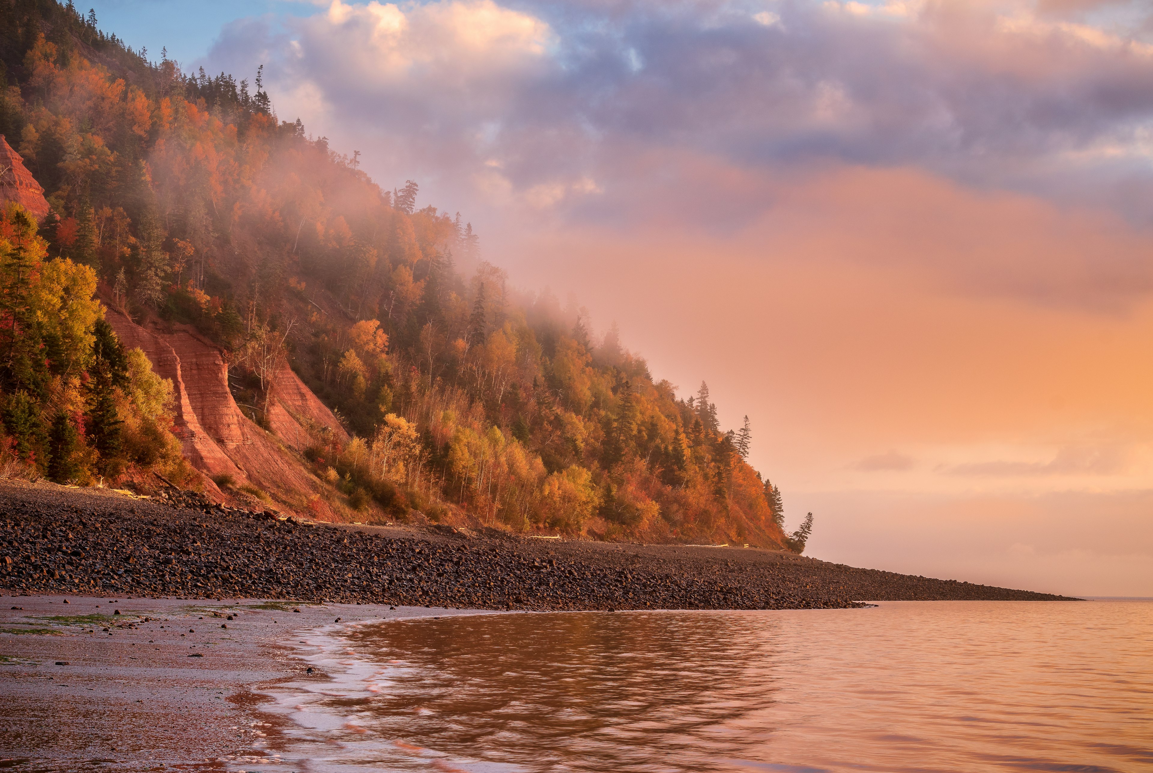 Evening light hits the fall foliage at the cliffs at Cape Blomidon, Bay of Fundy, Nova Scotia, Canada