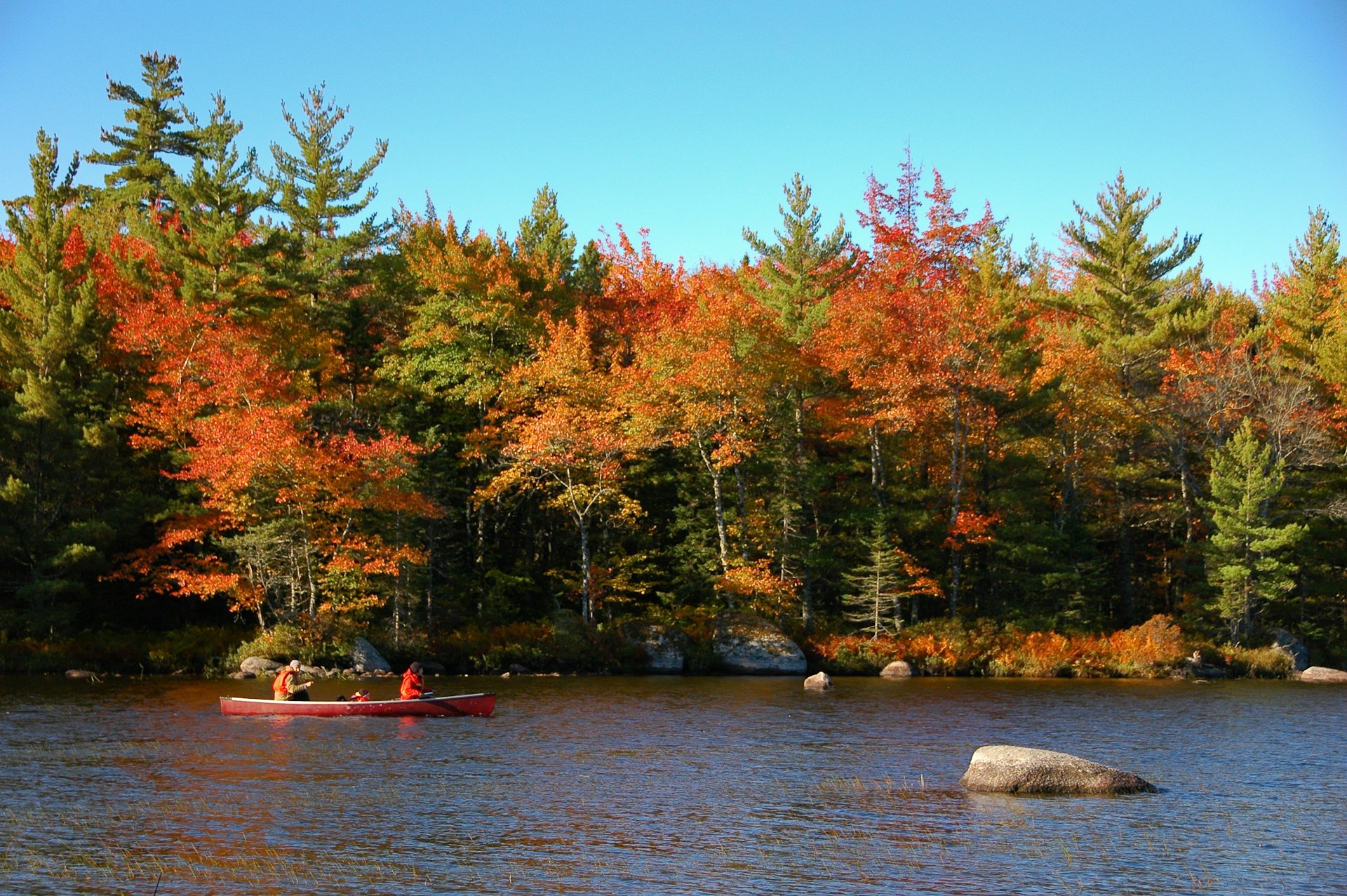 Two people paddle in a canoe through fall foliage at Kejimkujik National Park, Nova Scotia, Canada