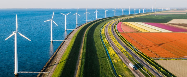 A daytime view of wind turbines in the sea and colourful tulips from a high viewpoint
1297835710