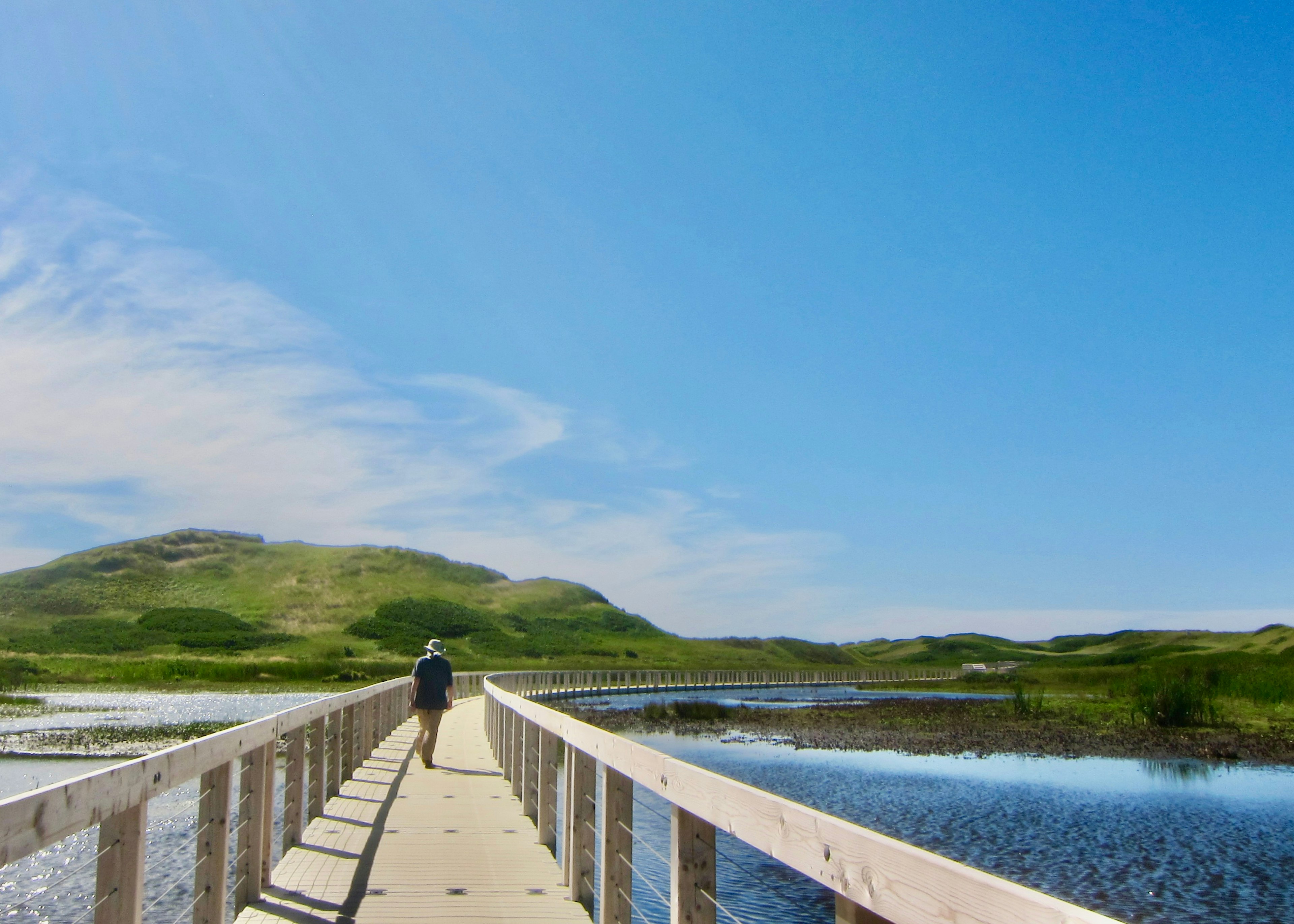 A person walking on a wooden bridge across a stretch of water, leading towards a lush green landmass